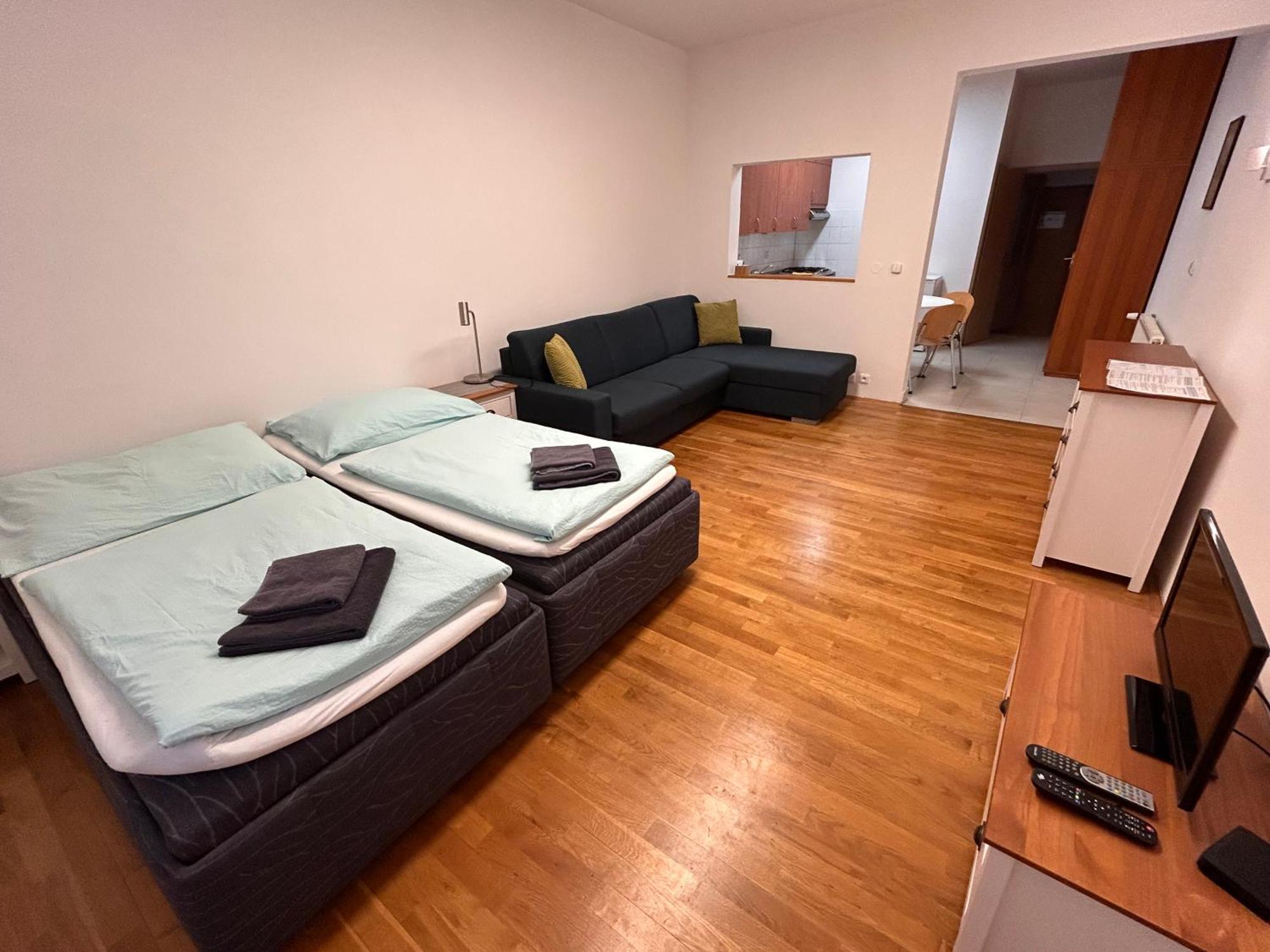 Apartment Karlin Prag